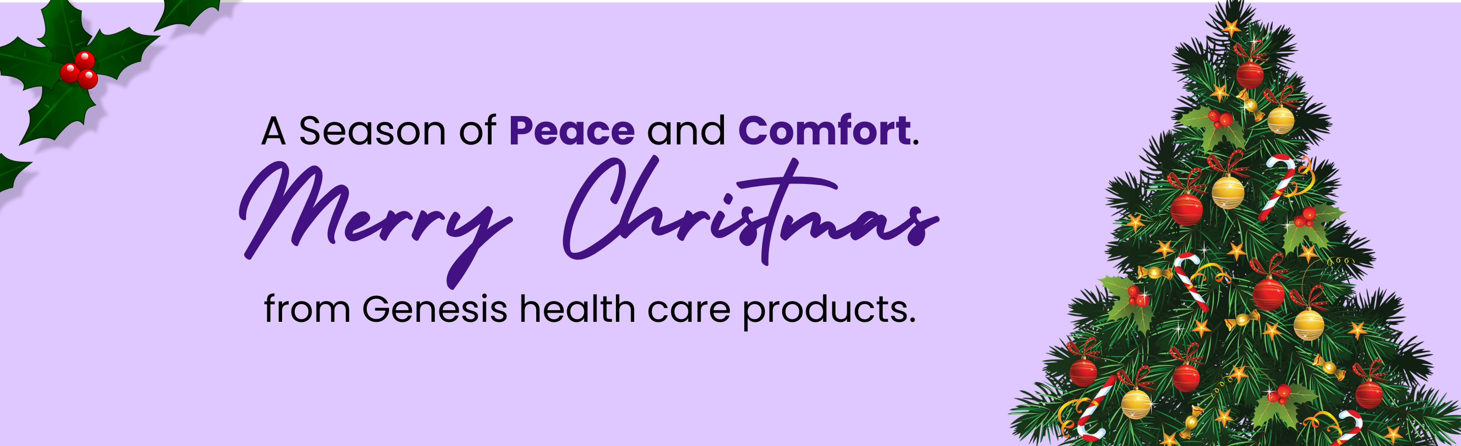 merry christmas banner